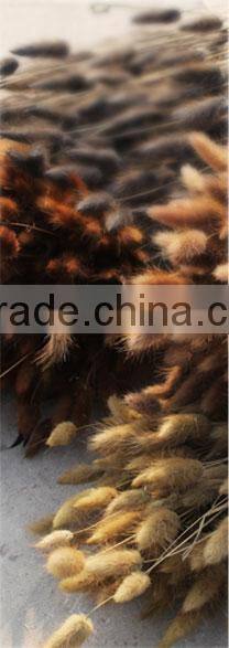 Natural textured silver metallic wallpaper