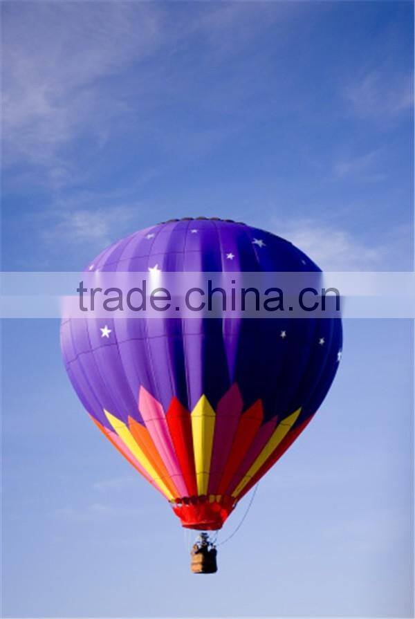 Hot sale inflatable hot air balloon/ manned control inflatable hot air balloon