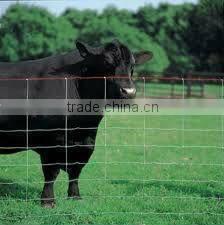 Woven field fence/Field wire mesh fence/Grassland fence