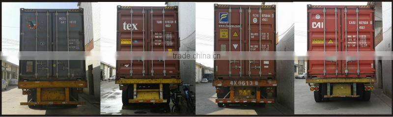 Slow juicer-2014 citrus juicer