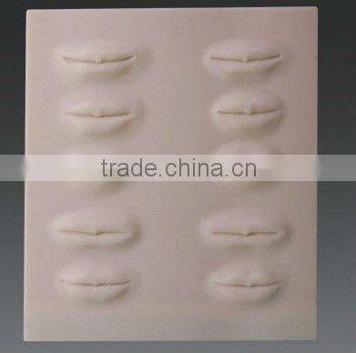 3D-Stereo tattoo practice head-lips eyebrow Practice Dermis