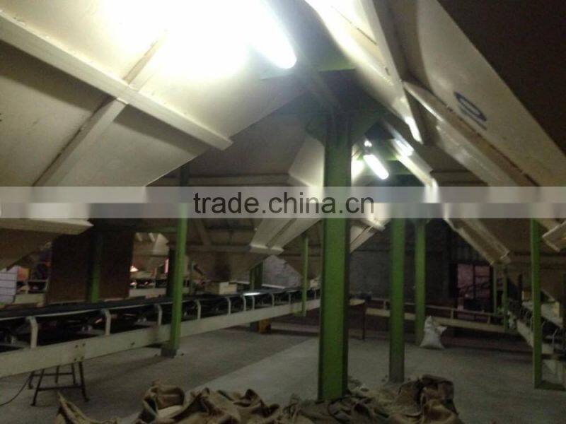 Thai Jasmine Rice 100%