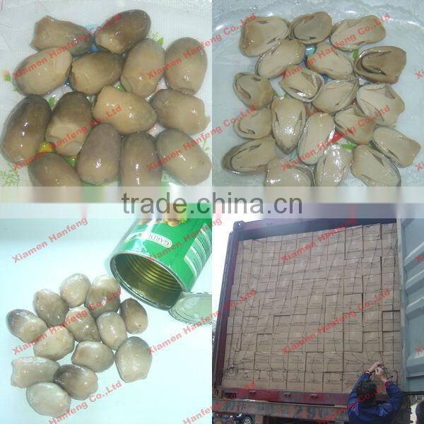 canned straw mushroom 425g half