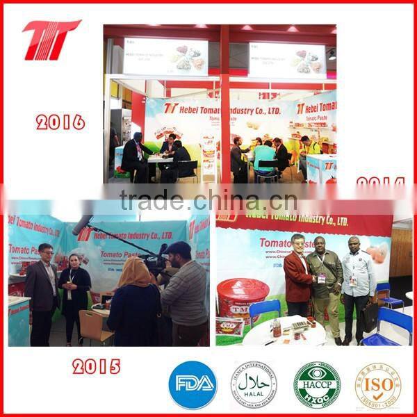 Double Concentrated Sachet Tomato Paste OF YOLI Brand with Low Price