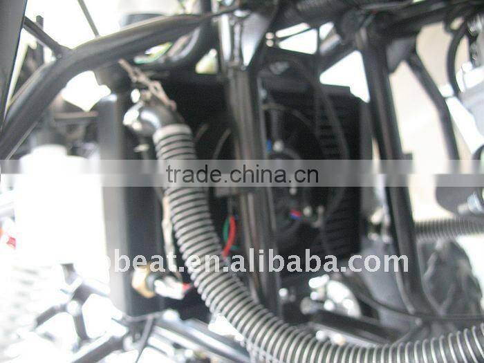 Bestselling 250cc ATV/Quad bike