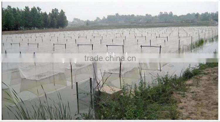 20*10 16*10 mesh white anti insect net/mosquito fly proof wire mesh