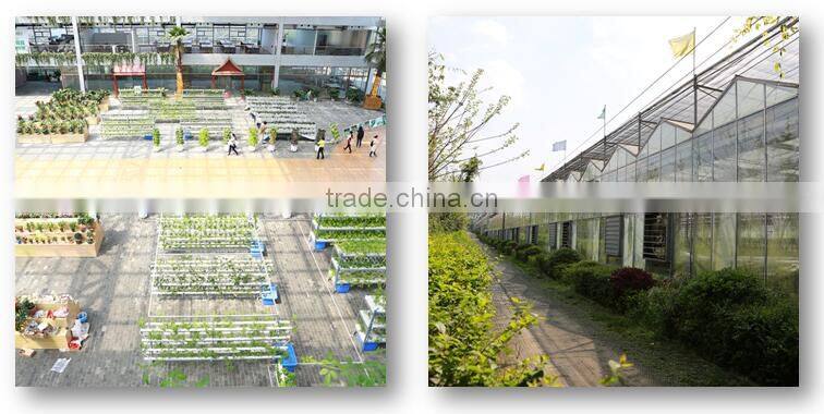 Multi Span Plastic Roofing Sheets Agricultural Commercial Greenhouses for sale