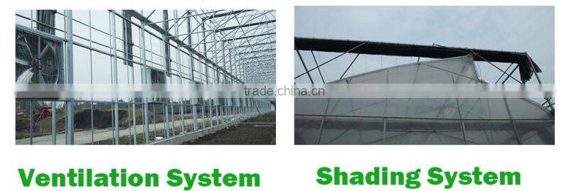 Complete Polycarbonate Tunnel Greenhouse Kits Wholesale