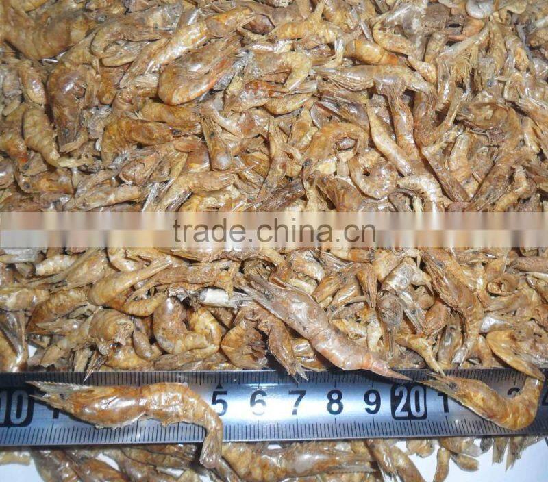 High protein freshwater dried shrimp // turtle food shrimp