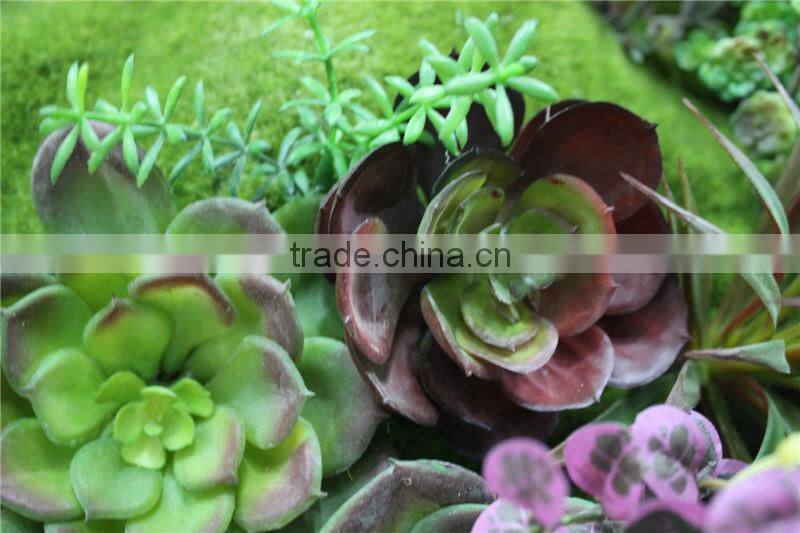 for home garden tiles deco 120*60cm paint color indoor artificial succlent boutique plant wall laminate combinations Ejq10 1204