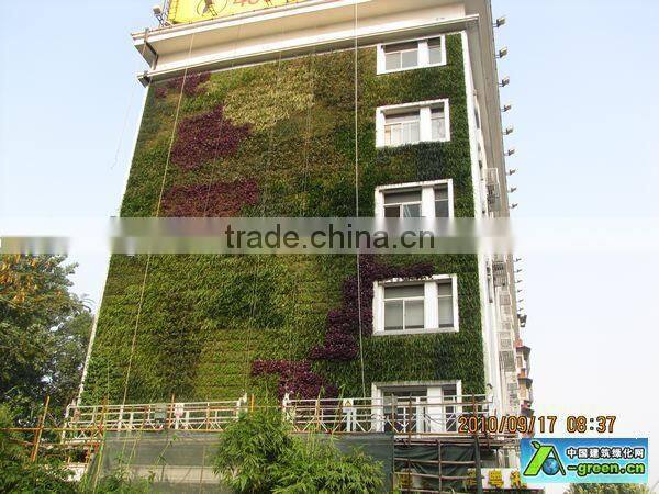 fake grass wall uv /fire resist factory (6sqm ) china artificial plant wall