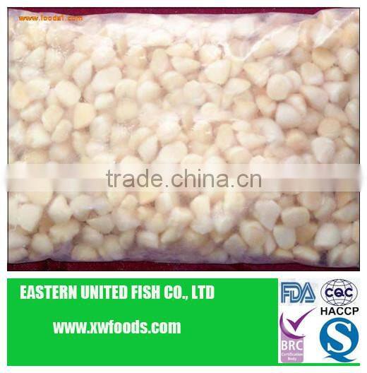 frozen IQF scallop meat