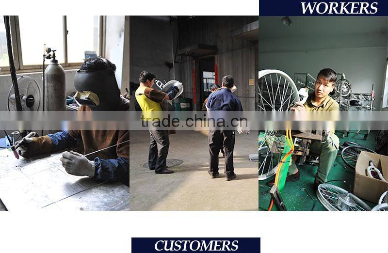 12 inch fashion mini folding electric bicycle professional tracking bike