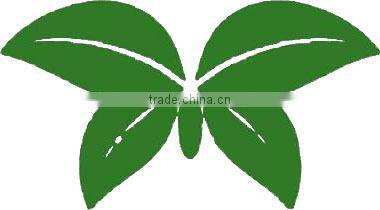 Best selling education toy