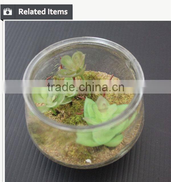 Mini potted succulents plants factory selling mini artificial succulents