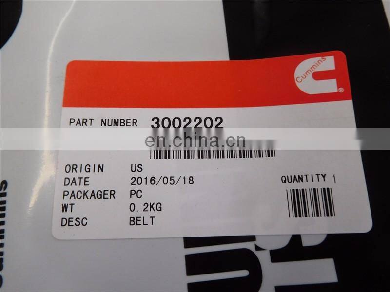 3002202 belt
