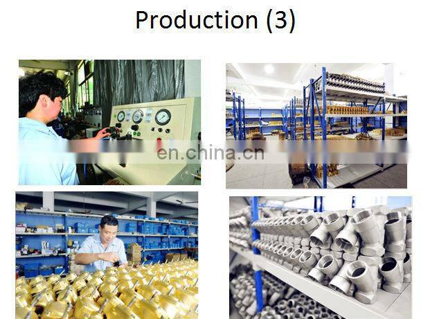 2W Under Water Solenoid valve /Gas Diesel Oil Normal Closed / 2W200-20 Direct Brass solenoid valve