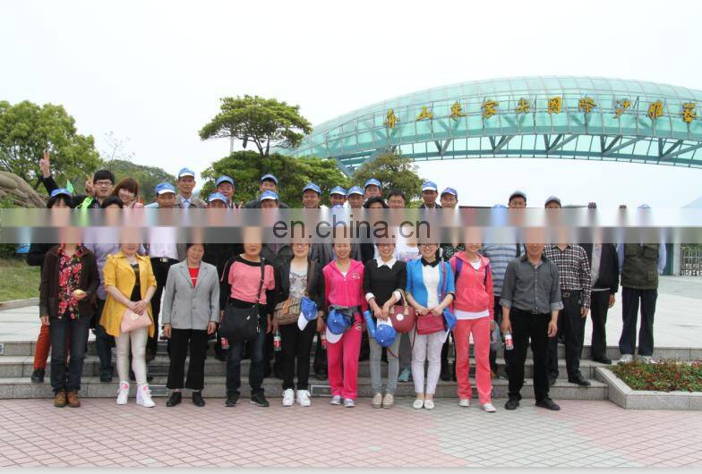 GMS for EPE foam as shrinking resistance Glycerine ester and fatty acids GMS DMG (E471) For Plastic Additive EPE