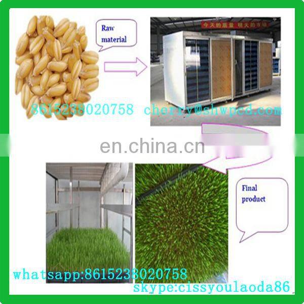 Bean Sprout Growing Machine | Bean Sprout Machine | Mungbean Sprout Machine