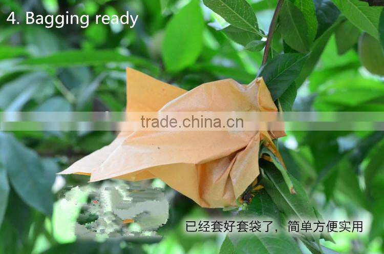 Fruit cover peach bag/kiwi fruit bag/mango bag