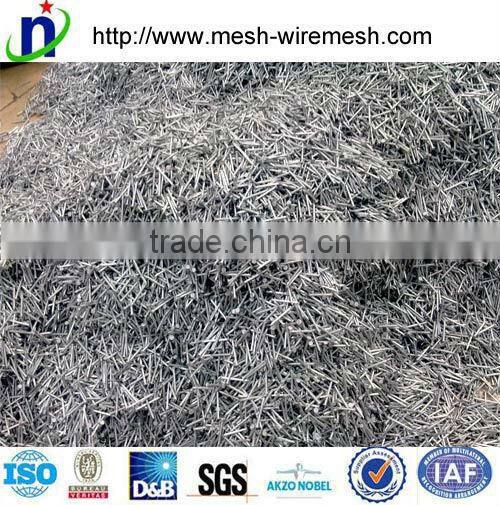 Best quality 2" Common Nails,square boat nails