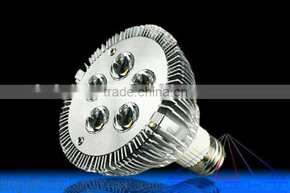 Bridgelux chip, PAR30 LED