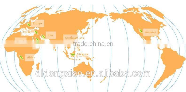 red watermelon seed wholesalers china