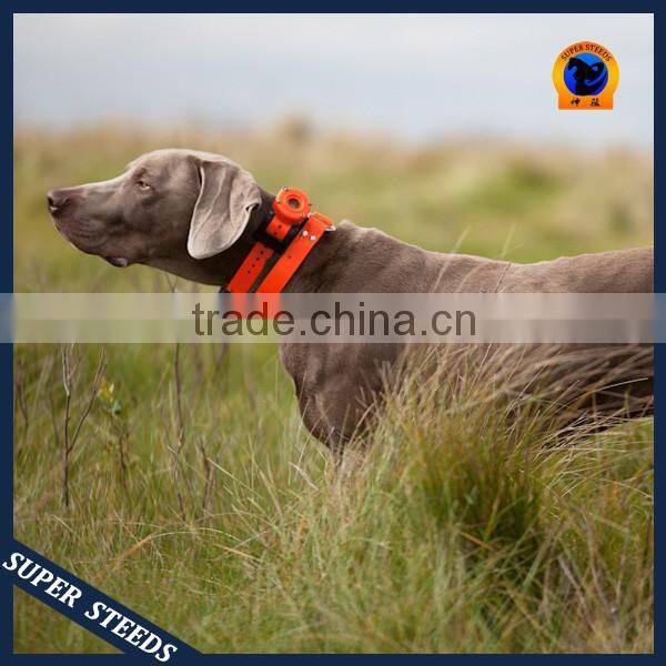 Waterproof TPU coated nylon webbing for dog collar or leash Wholesale