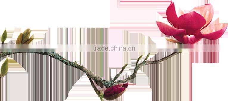 PGI-470 CLI-471 Reset chip one time use chip MG5740 for Canon Compatible chip