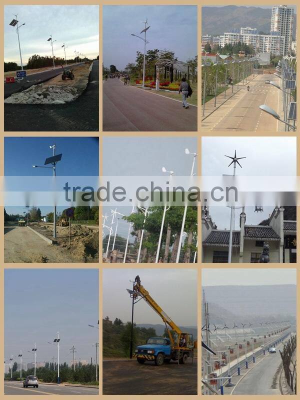Popular hybrid wind solar street light