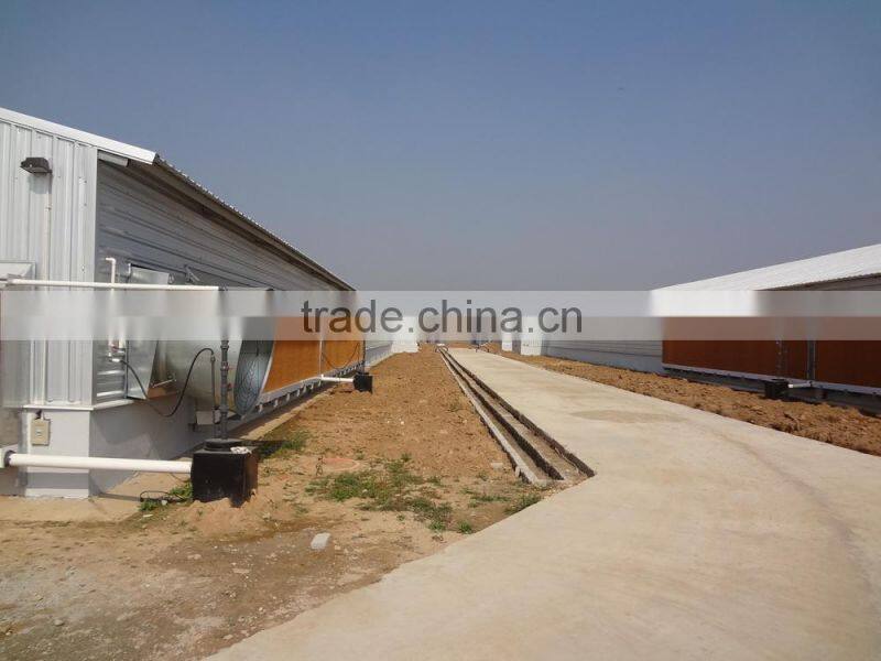 professional high quality broiler poultry farm shed design