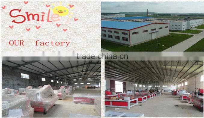 Brand new!!!nice RFE1390, stone laser cutting machine