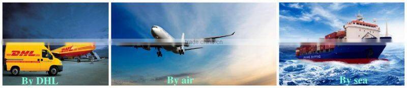 Minibus Semi-steel Radial Tire Mould of #35 forging steel