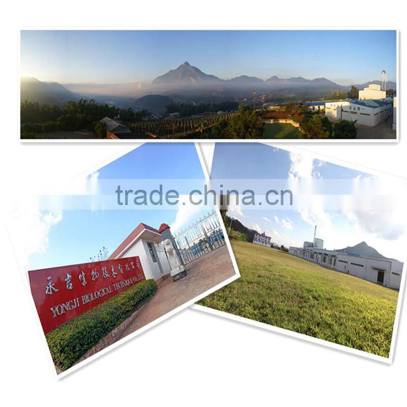 Hypoallergenic Beverage Additive -- Rice Protein