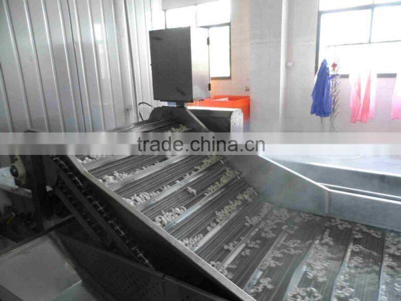 Frozen vannamei white Shrim