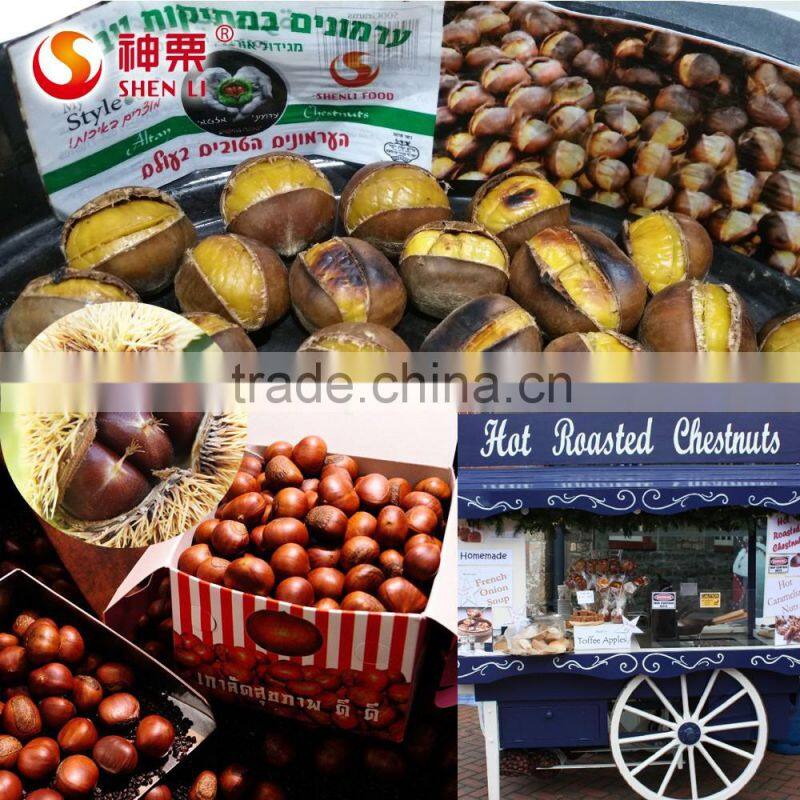 2016 Hot Sale Sweet Fresh Chestnut in Shell for Wholesale