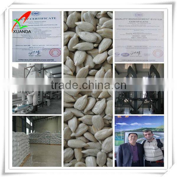 sunflower seed kernels bakery supplier