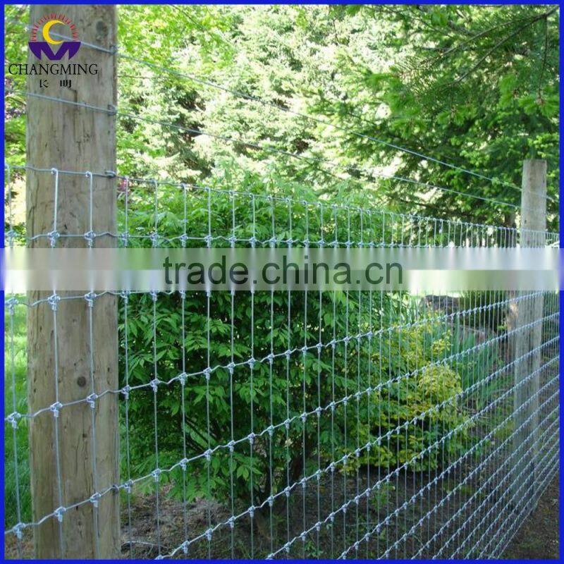 Bitumen Painted Green Color Studded T Post