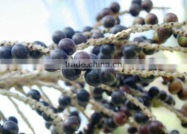 Pure Acai Berry capsue design label