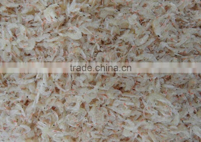 Hot Sale Offering Shrimp Seafood Color Sorting Machine