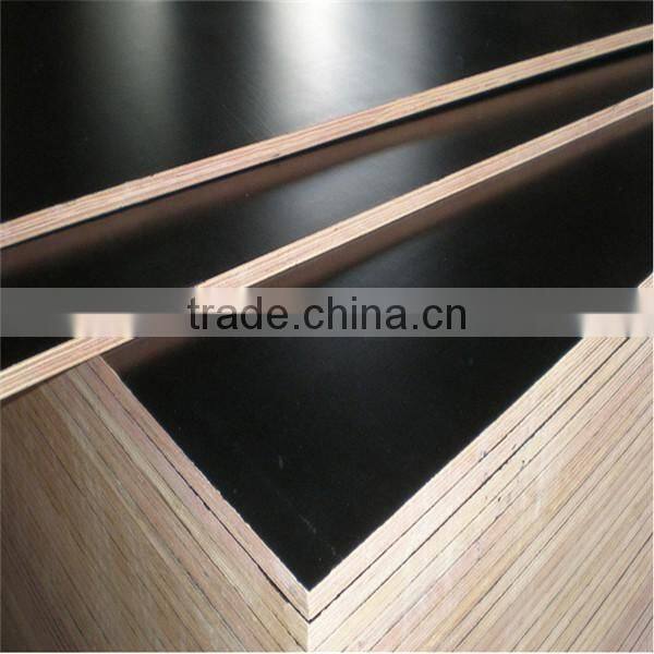 poplar waterproof marine plywood best price for construction