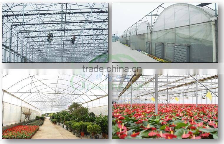 Price of Agricultural Multi Span Greenhouse Structure