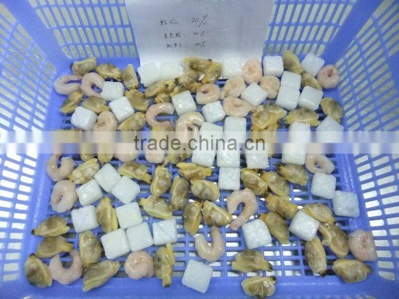Frozen Seafood Mix of High Quality