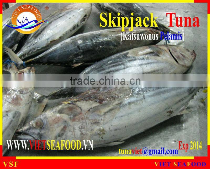 FROZEN W/R SKIPJACK TUNA