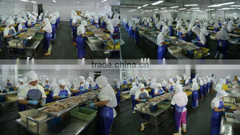 Boneless and clean fish food flakes on sale