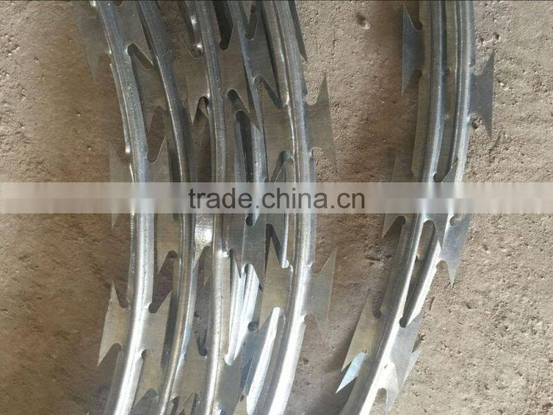 Flat Razor Wire Fence Razor Wire