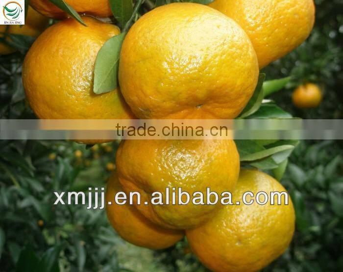 mandarin orange in price