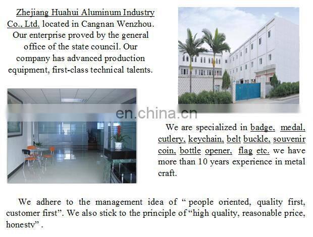 cheap custom metal car license plate frame wholesale for japan or USA market HH-licence plate-(6)