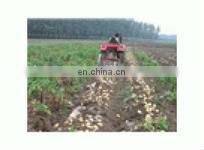 Walking type tractor mounted onion,potato, garlic mini harvester