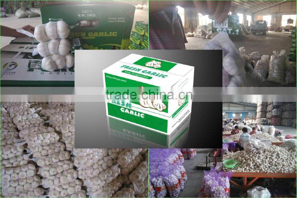 4.5cm-5.cm,5.cm-6cm,6cm up Pure white garlic/white garlic /organic garlic export